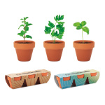Seeds & Planting Kits - Image 4