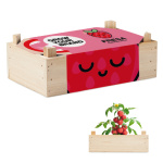 Seeds & Planting Kits - Image 5