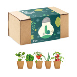 Seeds & Planting Kits - Image 7