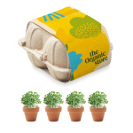 Seeds & Planting Kits - Image 6